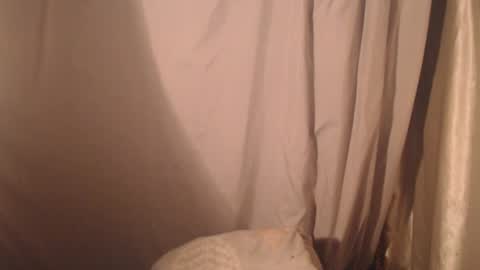 Snapshot of stonenipple chatting on October 2025 05:48:02 PM stonenipple online show from October 2025 05:48:02 PM