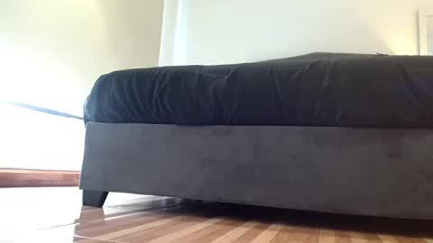 storm_hanks online show from November 2025 12:24:01 AM