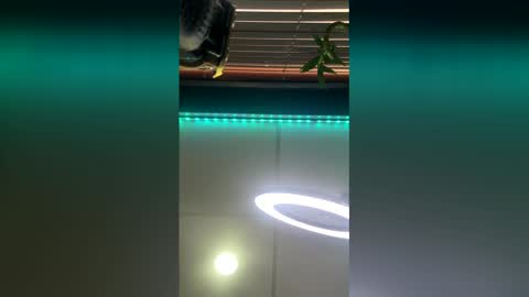 Snapshot of strong_rock69 chatting on March 2026 10:42:01 PM strong_rock69 online show from March 2026 10:42:01 PM