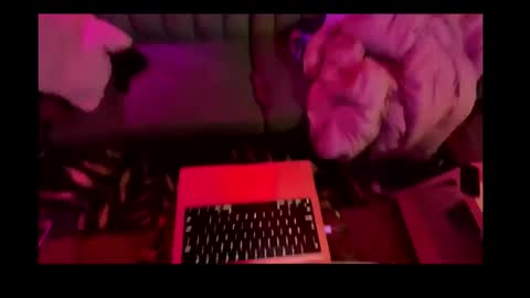 Snapshot of studio4three chatting on February 2025 11:20:01 AM studio4three online show from February 2025 11:20:01 AM