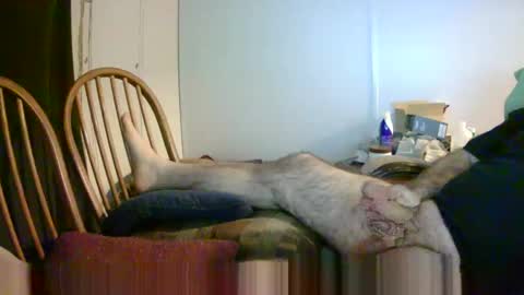 Snapshot of stugots42 chatting on January 2025 03:11:02 AM stugots42 online show from January 2025 03:11:02 AM