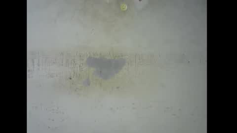 Bella online show from November 2025 05:44:01 PM