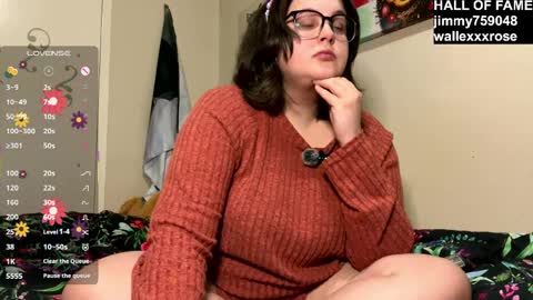 SugarStock online show from March 2026 03:41:02 AM