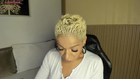 Summer online show from January 2026 11:56:02 AM