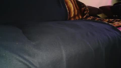 Snapshot of sundicksun chatting on December 2025 12:54:01 PM s online show from December 2025 12:54:01 PM