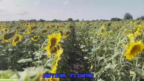 Snapshot of sunflower0907 chatting on September 2025 08:02:02 AM Tina. Im topless model online show from September 2025 08:02:02 AM