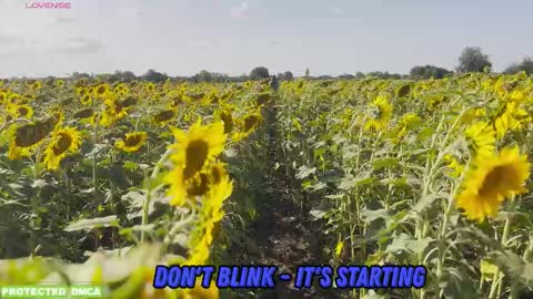 Snapshot of sunflower0907 chatting on October 2025 10:06:01 AM Tina. Im topless model online show from October 2025 10:06:01 AM