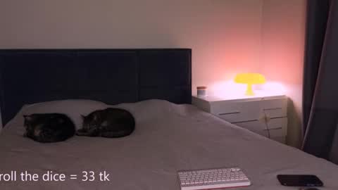 Snapshot of sunlovedamily chatting on October 2025 05:14:01 PM Amy online show from October 2025 05:14:01 PM