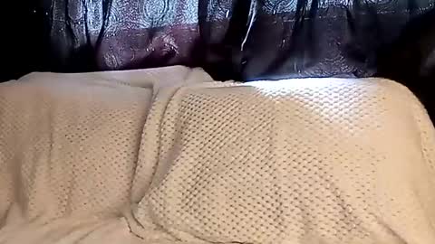 Annie online show from March 2025 07:42:02 PM