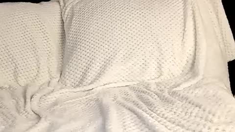 Annie online show from March 2025 10:17:02 PM