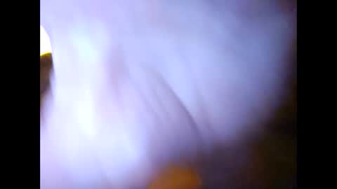 Snapshot of suntroll chatting on February 2025 11:01:02 AM Suntroll online show from February 2025 11:01:02 AM