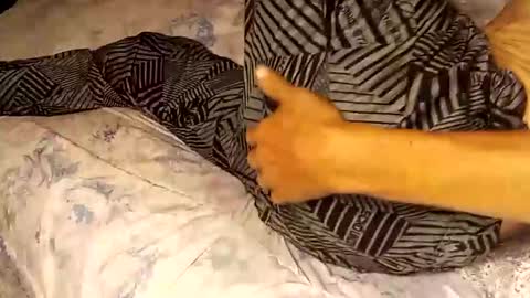 superdavedetailzz2025 online show from September 2025 06:37:01 AM