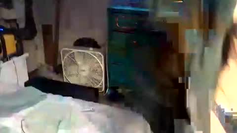 superdavedetailzz2025 online show from October 2025 11:03:01 AM