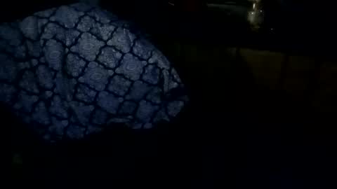 sloth online show from February 2026 09:31:02 AM