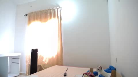 Susana online show from January 2025 04:48:01 PM