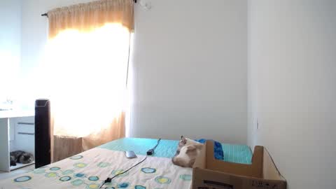 Susana online show from February 2025 06:37:01 PM