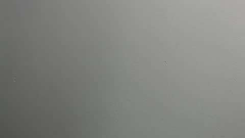 sussy leon online show from January 2025 12:11:02 PM