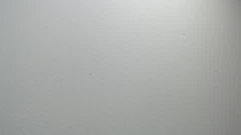 sussy leon online show from February 2025 12:05:02 PM