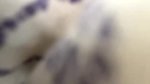 Snapshot of sustainable4u chatting on January 2025 09:58:01 PM Andy online show from January 2025 09:58:01 PM