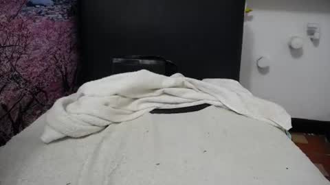 susy_perverttt online show from June 2026 02:05:02 PM