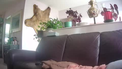 Otto online show from October 2025 09:56:01 PM