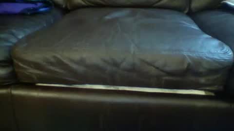 Otto online show from March 2026 09:26:02 AM