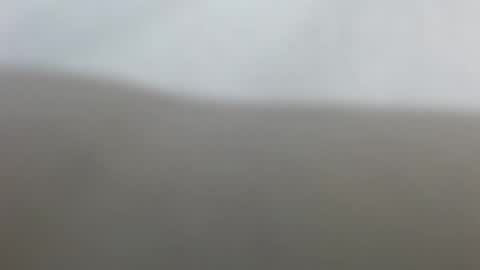 Snapshot of suzyblack4 chatting on February 2026 12:34:02 PM Suzy online show from February 2026 12:34:02 PM