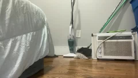 Just E  F3M B0i  online show from March 2025 12:48:01 AM