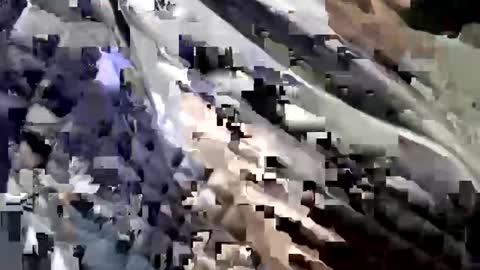 Bubblebunnyjlo online show from March 2025 04:04:01 AM