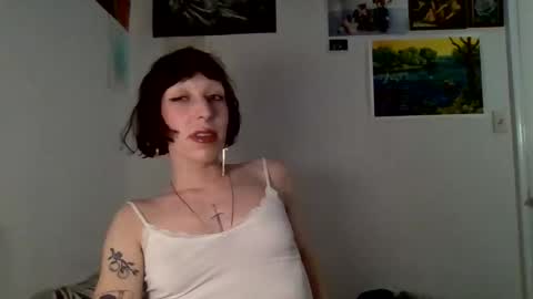 Snapshot of sweet_harvey chatting on April 2026 12:33:01 AM sweet_harvey online show from April 2026 12:33:01 AM