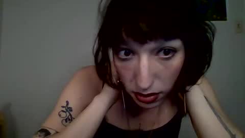 Snapshot of sweet_harvey chatting on April 2026 12:38:02 AM sweet_harvey online show from April 2026 12:38:02 AM