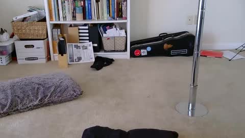 Heidi Brenner - Please check bio for schedule  FAQ online show from January 2025 04:41:01 PM