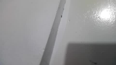 Stacy online show from April 2026 03:06:01 PM