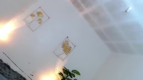 May online show from December 2025 06:13:02 PM