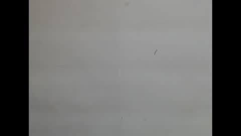 Snapshot of sweetnectarx chatting on November 2025 04:40:01 PM sweetnectarx online show from November 2025 04:40:01 PM