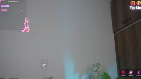 Hello Welcome Im here from WEDNESDAY to SUNDAY 430am to  830am and 3  to 7  timeMONDAY and TUESDAY i rest online show from March 2026 09:44:02 PM