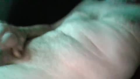 sweetpussylicks online show from February 2025 03:04:01 AM