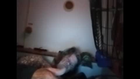 Snapshot of sweetsugar64 chatting on March 2026 06:17:01 AM sweetsugar64 online show from March 2026 06:17:01 AM