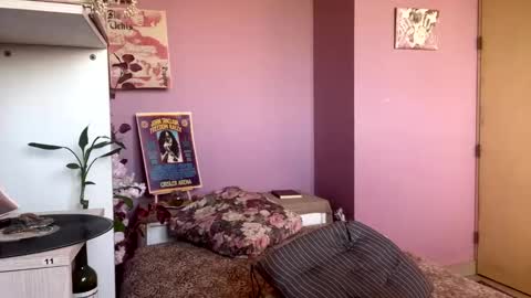 swettcabol online show from January 2025 07:29:02 PM