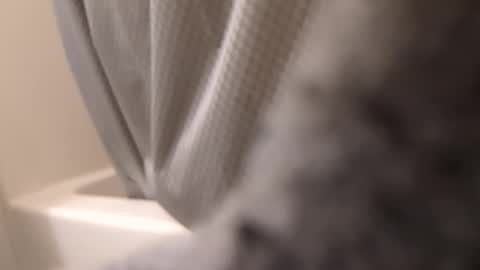 Snapshot of swollpole2112 chatting on September 2025 06:12:02 AM swollpole2112 online show from September 2025 06:12:02 AM