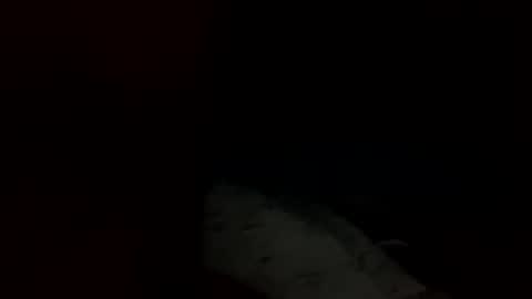 Snapshot of swovey chatting on September 2025 10:31:01 AM swovey online show from September 2025 10:31:01 AM