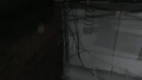 Snapshot of sxulx2c chatting on December 2024 06:24:02 AM sxulx2c online show from December 2024 06:24:02 AM