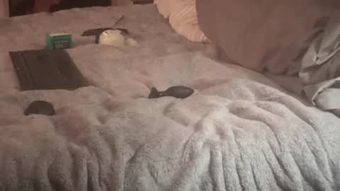 SissyDenver online show from September 2025 09:30:01 AM