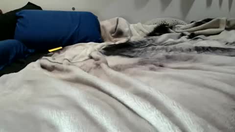 sybadog online show from February 2026 11:50:01 AM