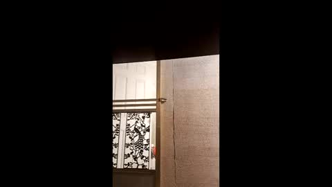 syevecrl online show from February 2026 11:31:02 PM