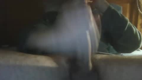 sygtryggr29 online show from December 2024 12:30:01 AM