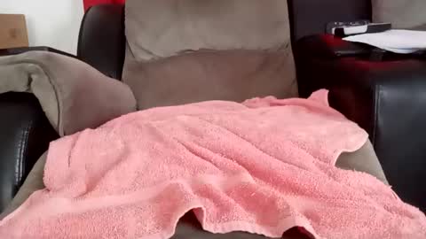 Snapshot of sykotc123292960 chatting on November 2025 06:51:02 PM sykotc123292960 online show from November 2025 06:51:02 PM