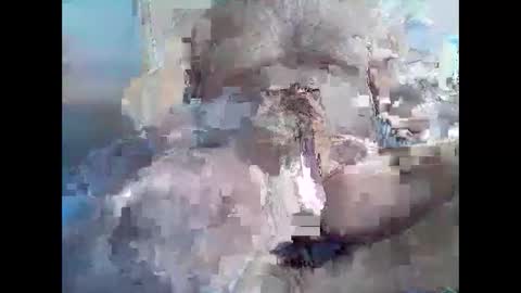 Syme online show from November 2025 11:03:01 PM