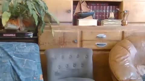 sympa_trique online show from October 2025 10:35:01 AM