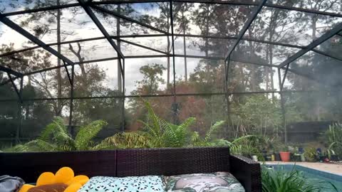 Jennah online show from December 2025 09:43:02 PM